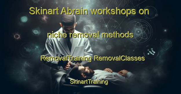 Skinart Abrain workshops on niche removal methods | #RemovalTraining #RemovalClasses #SkinartTraining-Germany