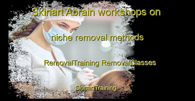 Skinart Abrain workshops on niche removal methods | #RemovalTraining #RemovalClasses #SkinartTraining-Germany