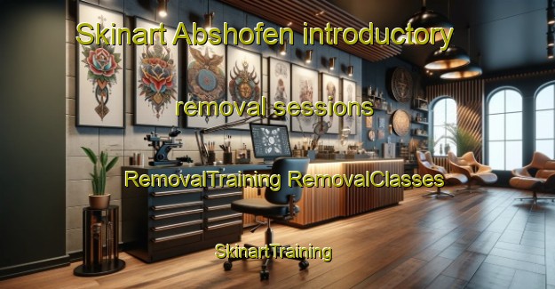 Skinart Abshofen introductory removal sessions | #RemovalTraining #RemovalClasses #SkinartTraining-Germany