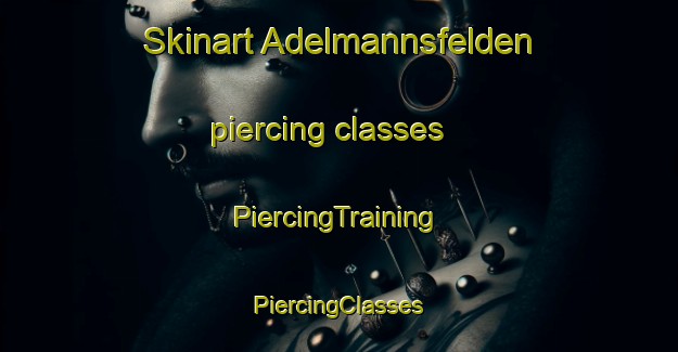 Skinart Adelmannsfelden piercing classes | #PiercingTraining #PiercingClasses #SkinartTraining-Germany