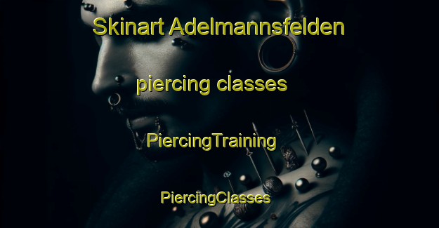 Skinart Adelmannsfelden piercing classes | PiercingTraining | PiercingClasses | SkinartTraining-Germany