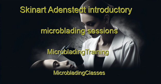 Skinart Adenstedt introductory microblading sessions | MicrobladingTraining | MicrobladingClasses | SkinartTraining-Germany
