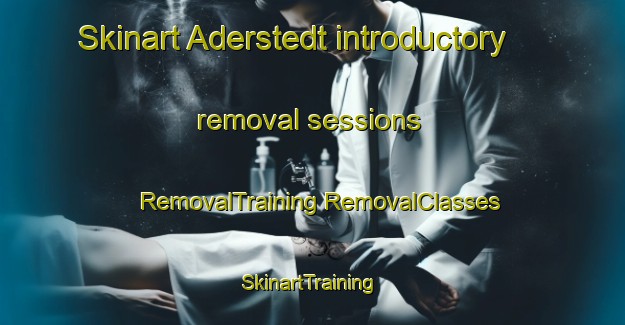 Skinart Aderstedt introductory removal sessions | #RemovalTraining #RemovalClasses #SkinartTraining-Germany