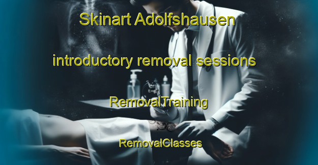 Skinart Adolfshausen introductory removal sessions | RemovalTraining | RemovalClasses | SkinartTraining-Germany