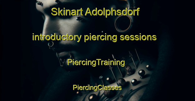 Skinart Adolphsdorf introductory piercing sessions | #PiercingTraining #PiercingClasses #SkinartTraining-Germany