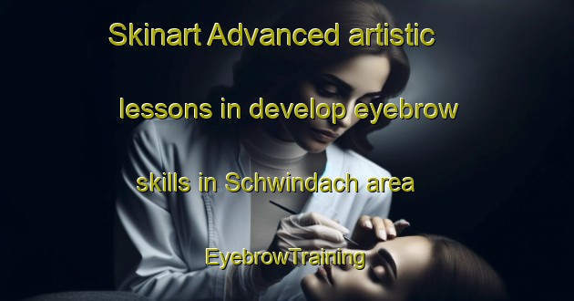 Skinart Advanced artistic lessons in develop eyebrow skills in Schwindach area | EyebrowTraining | EyebrowClasses | SkinartTraining-Germany