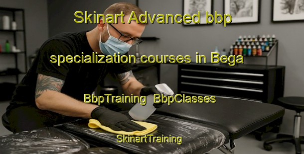 Skinart Advanced bbp specialization courses in Bega | BbpTraining | BbpClasses | SkinartTraining-Germany