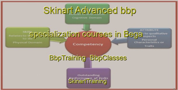 Skinart Advanced bbp specialization courses in Bega | BbpTraining | BbpClasses | SkinartTraining-Germany