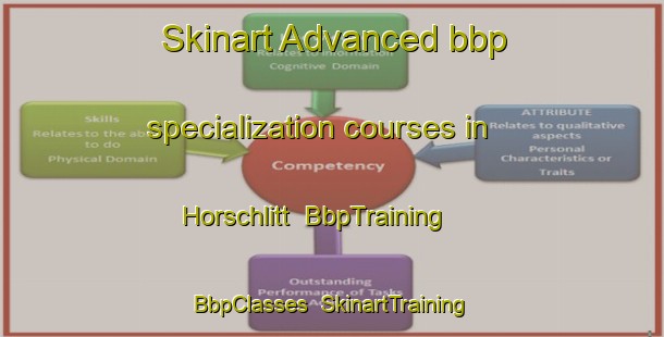 Skinart Advanced bbp specialization courses in Horschlitt | BbpTraining | BbpClasses | SkinartTraining-Germany