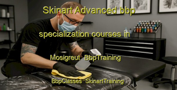 Skinart Advanced bbp specialization courses in Mosigreut | BbpTraining | BbpClasses | SkinartTraining-Germany