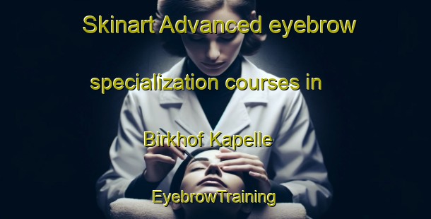 Skinart Advanced eyebrow specialization courses in Birkhof Kapelle | EyebrowTraining | EyebrowClasses | SkinartTraining-Germany
