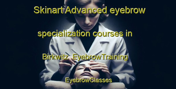 Skinart Advanced eyebrow specialization courses in Birkwitz | EyebrowTraining | EyebrowClasses | SkinartTraining-Germany