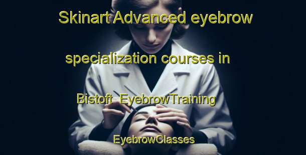 Skinart Advanced eyebrow specialization courses in Bistoft | EyebrowTraining | EyebrowClasses | SkinartTraining-Germany
