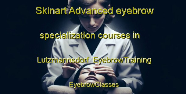 Skinart Advanced eyebrow specialization courses in Lutzmannsdorf | EyebrowTraining | EyebrowClasses | SkinartTraining-Germany