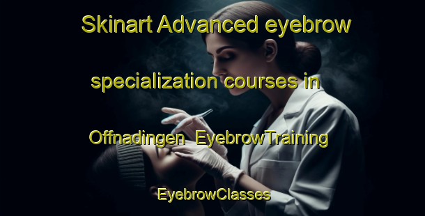 Skinart Advanced eyebrow specialization courses in Offnadingen | EyebrowTraining | EyebrowClasses | SkinartTraining-Germany