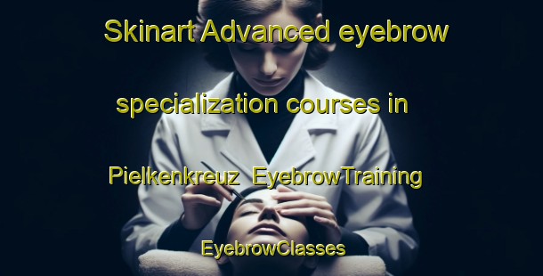 Skinart Advanced eyebrow specialization courses in Pielkenkreuz | EyebrowTraining | EyebrowClasses | SkinartTraining-Germany