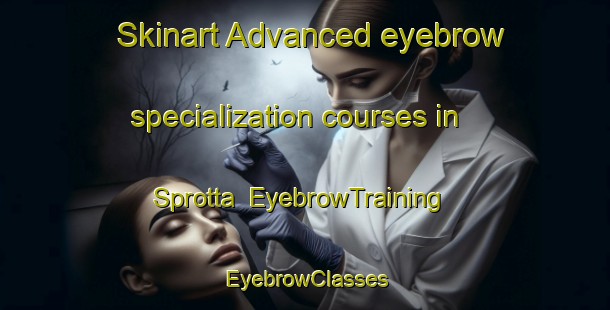Skinart Advanced eyebrow specialization courses in Sprotta | EyebrowTraining | EyebrowClasses | SkinartTraining-Germany