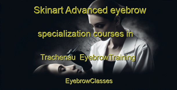 Skinart Advanced eyebrow specialization courses in Trachenau | EyebrowTraining | EyebrowClasses | SkinartTraining-Germany