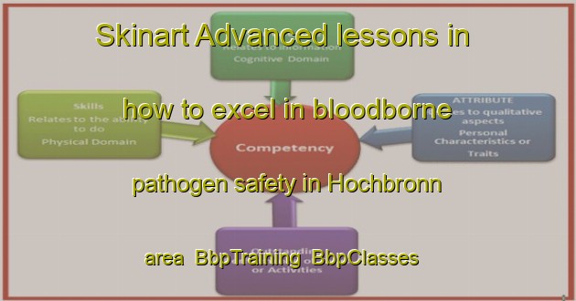 Skinart Advanced lessons in how to excel in bloodborne pathogen safety in Hochbronn area | BbpTraining | BbpClasses | SkinartTraining-Germany