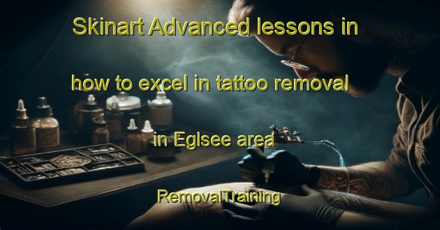 Skinart Advanced lessons in how to excel in tattoo removal in Eglsee area | RemovalTraining | RemovalClasses | SkinartTraining-Germany