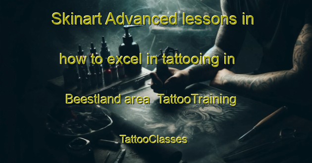 Skinart Advanced lessons in how to excel in tattooing in Beestland area | TattooTraining | TattooClasses | SkinartTraining-Germany