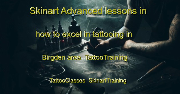 Skinart Advanced lessons in how to excel in tattooing in Birgden area | TattooTraining | TattooClasses | SkinartTraining-Germany