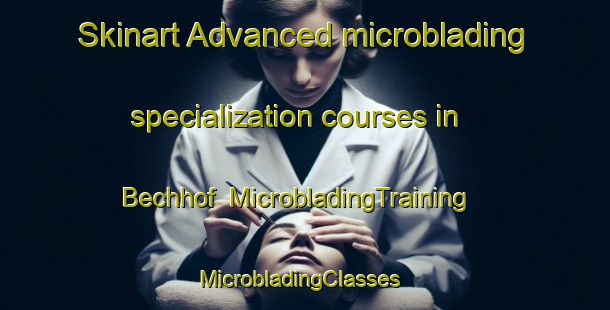 Skinart Advanced microblading specialization courses in Bechhof | MicrobladingTraining | MicrobladingClasses | SkinartTraining-Germany