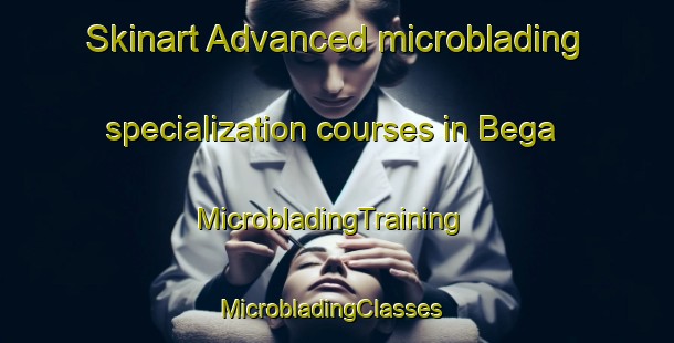 Skinart Advanced microblading specialization courses in Bega | MicrobladingTraining | MicrobladingClasses | SkinartTraining-Germany