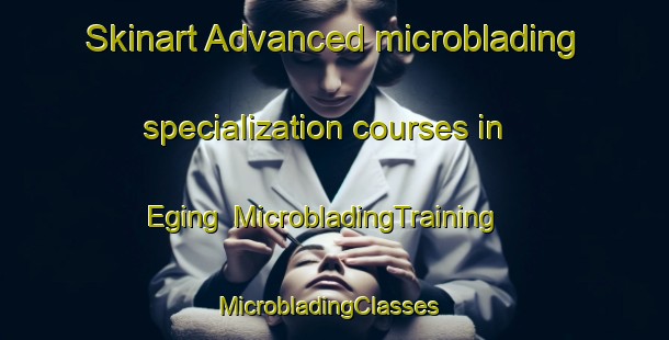 Skinart Advanced microblading specialization courses in Eging | MicrobladingTraining | MicrobladingClasses | SkinartTraining-Germany