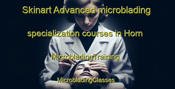 Skinart Advanced microblading specialization courses in Horn | MicrobladingTraining | MicrobladingClasses | SkinartTraining-Germany