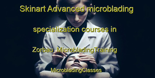 Skinart Advanced microblading specialization courses in Zorbau | MicrobladingTraining | MicrobladingClasses | SkinartTraining-Germany