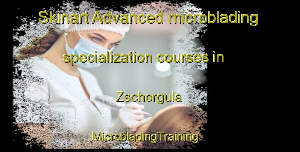 Skinart Advanced microblading specialization courses in Zschorgula | MicrobladingTraining | MicrobladingClasses | SkinartTraining-Germany