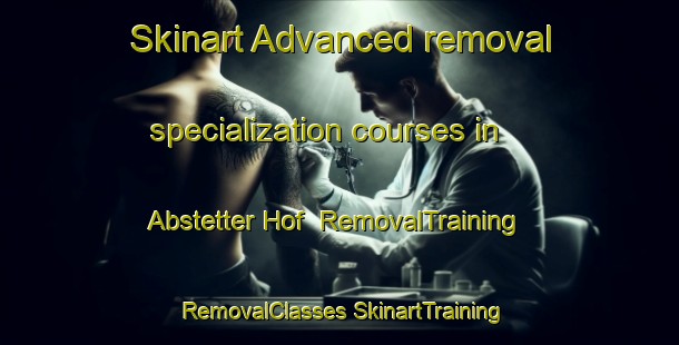 Skinart Advanced removal specialization courses in Abstetter Hof | #RemovalTraining #RemovalClasses #SkinartTraining-Germany