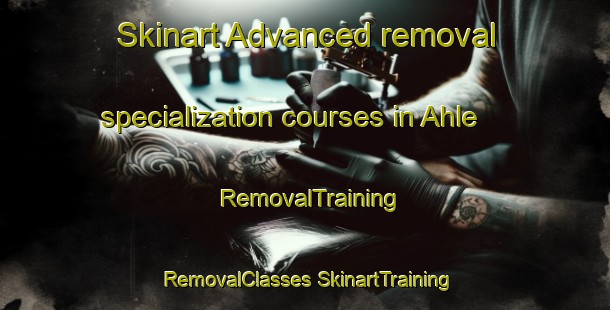 Skinart Advanced removal specialization courses in Ahle | #RemovalTraining #RemovalClasses #SkinartTraining-Germany