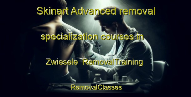 Skinart Advanced removal specialization courses in Zwiesele | RemovalTraining | RemovalClasses | SkinartTraining-Germany
