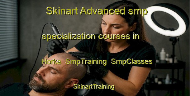Skinart Advanced smp specialization courses in Horka | SmpTraining | SmpClasses | SkinartTraining-Germany