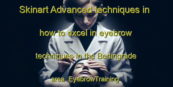 Skinart Advanced techniques in how to excel in eyebrow techniques in the Bedingrade area | EyebrowTraining | EyebrowClasses | SkinartTraining-Germany