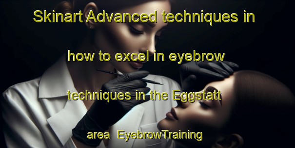 Skinart Advanced techniques in how to excel in eyebrow techniques in the Eggstatt area | EyebrowTraining | EyebrowClasses | SkinartTraining-Germany