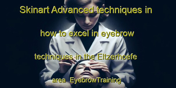 Skinart Advanced techniques in how to excel in eyebrow techniques in the Eltzerhoefe area | EyebrowTraining | EyebrowClasses | SkinartTraining-Germany