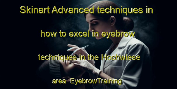 Skinart Advanced techniques in how to excel in eyebrow techniques in the Hochwiese area | EyebrowTraining | EyebrowClasses | SkinartTraining-Germany