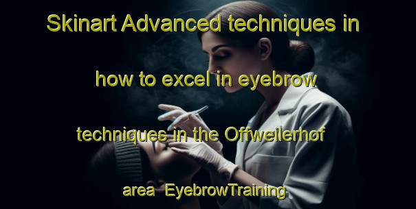 Skinart Advanced techniques in how to excel in eyebrow techniques in the Offweilerhof area | EyebrowTraining | EyebrowClasses | SkinartTraining-Germany
