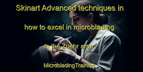 Skinart Advanced techniques in how to excel in microblading in the Zuehr area | MicrobladingTraining | MicrobladingClasses | SkinartTraining-Germany