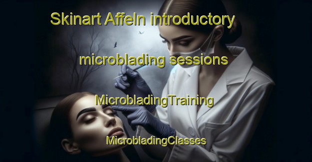 Skinart Affeln introductory microblading sessions | #MicrobladingTraining #MicrobladingClasses #SkinartTraining-Germany