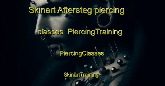 Skinart Aftersteg piercing classes | #PiercingTraining #PiercingClasses #SkinartTraining-Germany