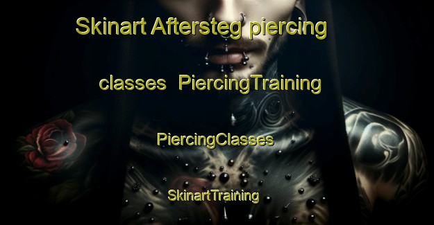 Skinart Aftersteg piercing classes | #PiercingTraining #PiercingClasses #SkinartTraining-Germany