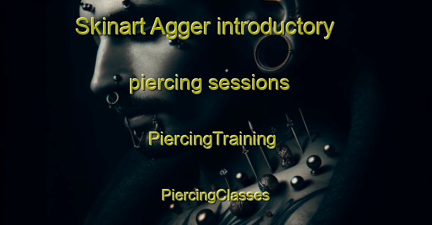 Skinart Agger introductory piercing sessions | #PiercingTraining #PiercingClasses #SkinartTraining-Germany