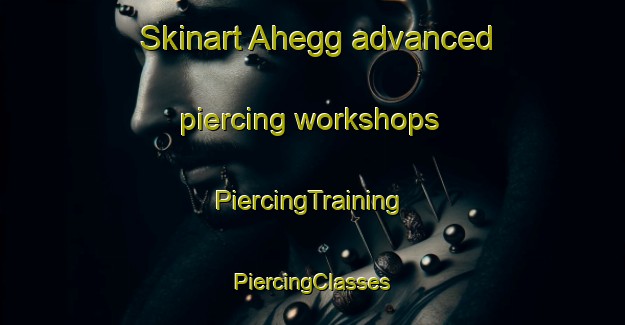 Skinart Ahegg advanced piercing workshops | #PiercingTraining #PiercingClasses #SkinartTraining-Germany