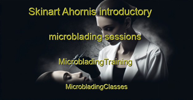 Skinart Ahornis introductory microblading sessions | #MicrobladingTraining #MicrobladingClasses #SkinartTraining-Germany