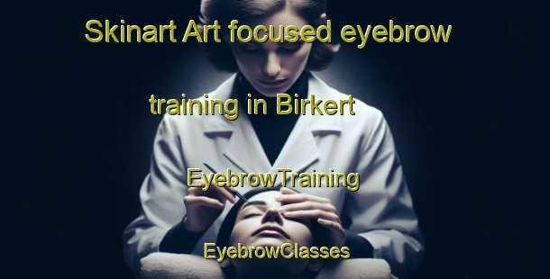 Skinart Art-focused eyebrow training in Birkert | EyebrowTraining | EyebrowClasses | SkinartTraining-Germany