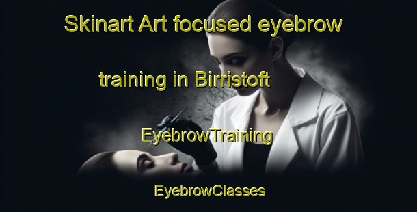 Skinart Art-focused eyebrow training in Birristoft | EyebrowTraining | EyebrowClasses | SkinartTraining-Germany